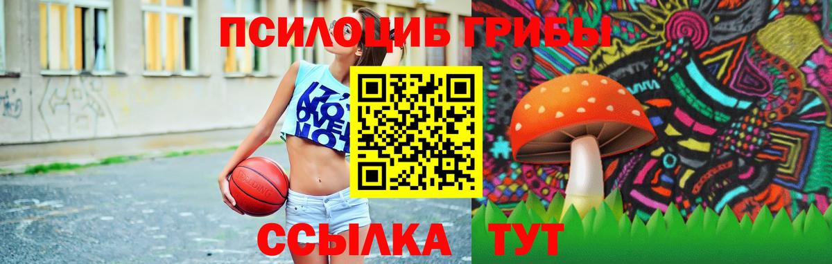 Кисловодск  Псилоцибиновые грибы мухоморы  Вход с VPN 